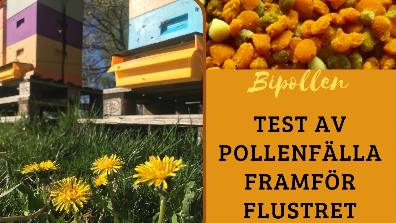 Pollenfälla framför flustret - hur funkar det