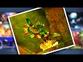 Skylanders Photo Collab Review Part 1