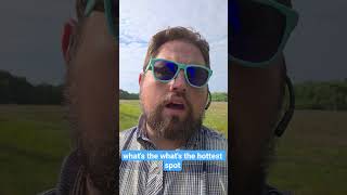 What is a VPN? #lifeisbutadream #ihavethisthingwithplants #technology