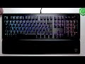 TURTLE BEACH Vulcan II Max - What Polling Rate Does It Have