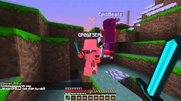 Elite Minitage elite.mcpvp.com