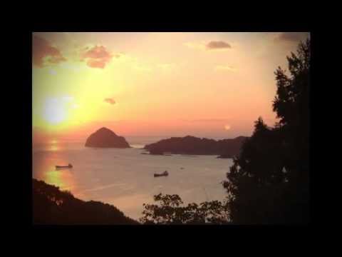 海を見つめて～朝