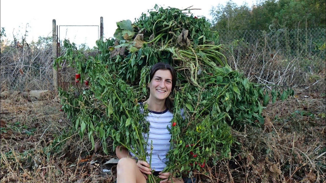 ТАЗИ СЕДМИЦА НА СЕЛО: Разчистихме градината и започнахме плочките на терасата! + Пътуване до КОТЕЛ