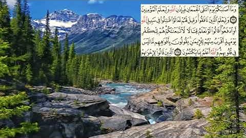 صفحة-72- page سعد الغامدي - -سورة ال عمران -Al-Imran