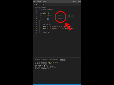 'Mastering Pointers in