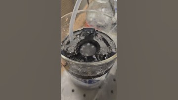 Acute brain slice incubator