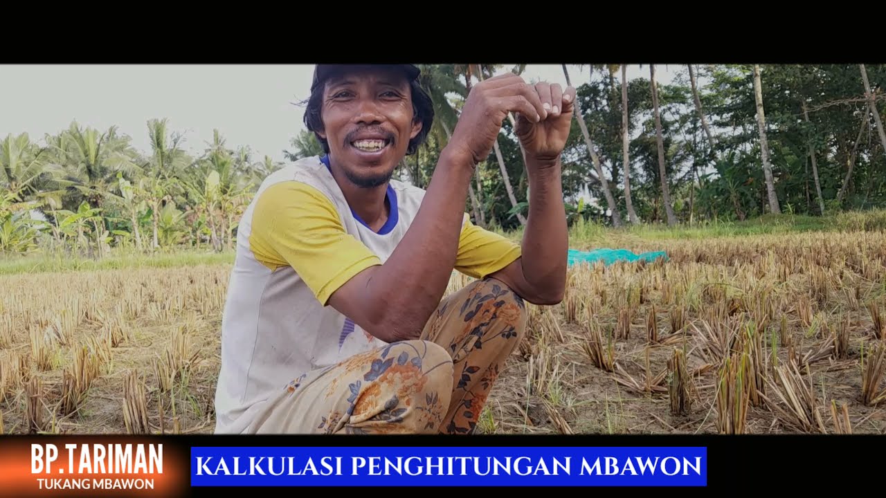 BOCAH KAMPUNG Ep.008 TRADISI PANEN PADI DIKAMPUNG