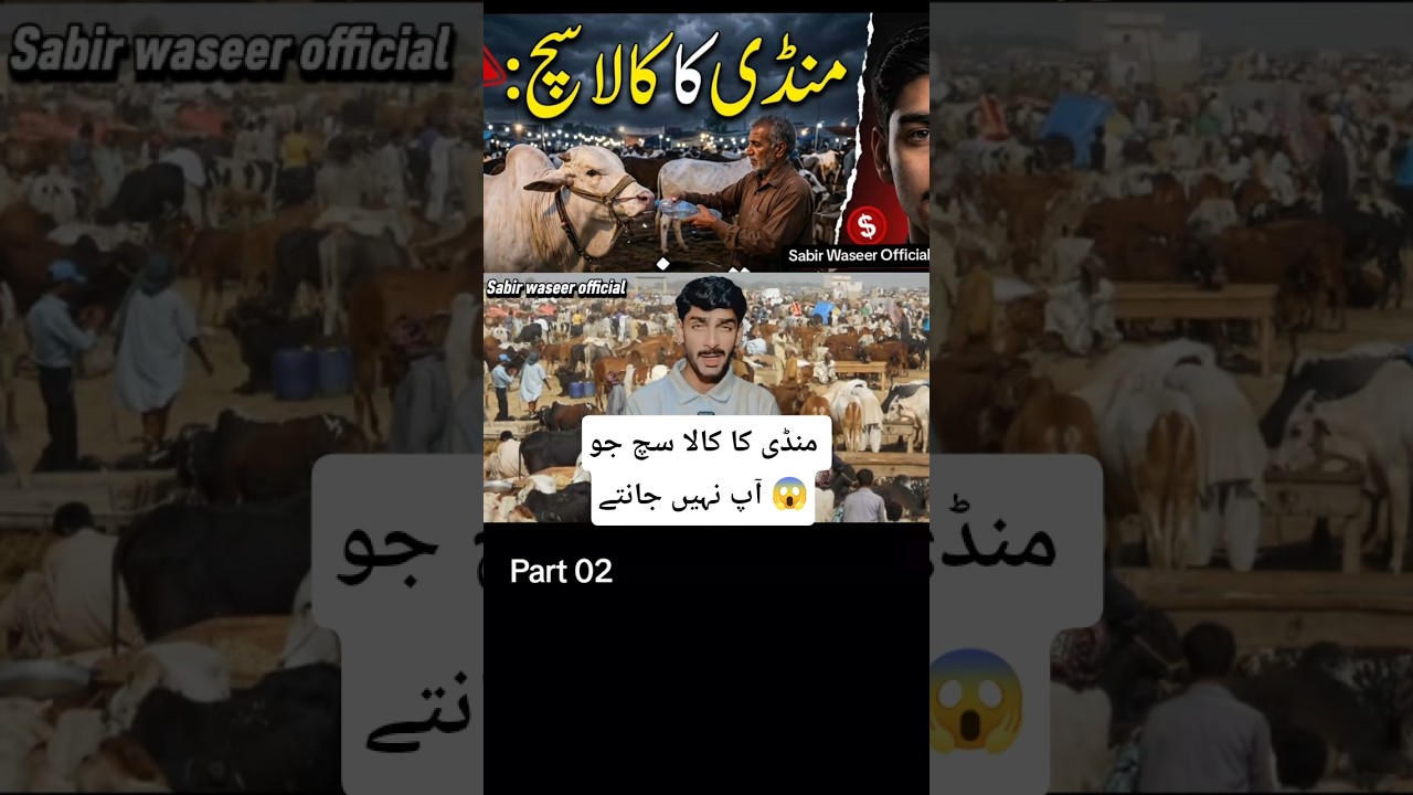 The economic reality of the livestock market? (Part 2) | Sabir Waseer Official