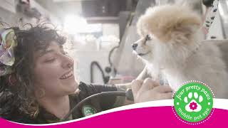 Mobile Pet Grooming at Your Door 🎵🐾 | Four Pretty Paws Mobile Pet Grooming