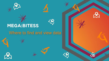 Finding Your MEGABITESS Data
