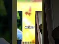 ДЖОВ ПОМЕНЯЛСЯ: 2012 vs 2025 #миртанков #jove #wot #shorts #shortvideo #lebwawot