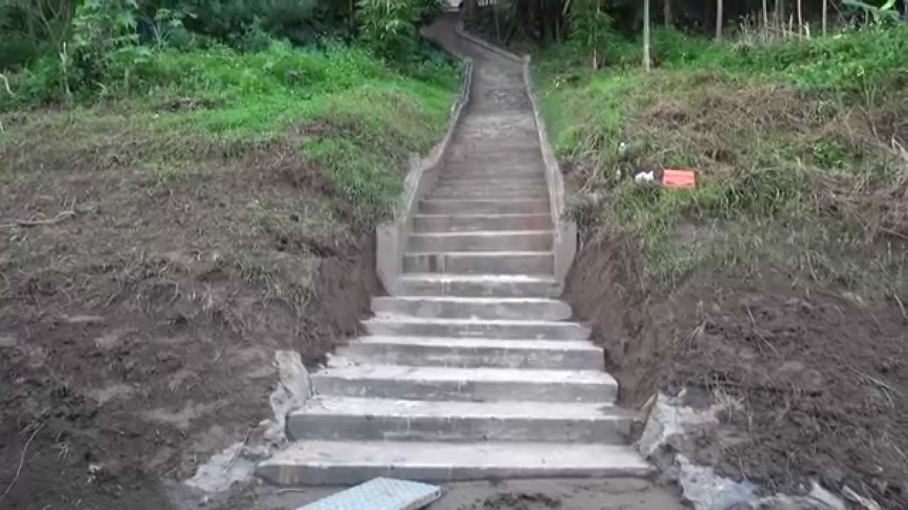 Zucchero Quale senso abbiamo noi? (sottotitololato) YouTube