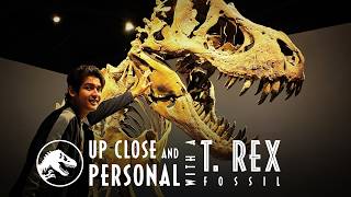 UP CLOSE AND PERSONAL - T. Rex Fossil!
The Dinosaur Enthusiast comes face-to-face with a full-scale Tyrannosaurus rex skeleton!🦖🦕🥚
With everything happening in the world right now, sometimes all we need is a brief pause... a moment to reflect on where we are and where we’ve been.
For Max, meeting Stan the Tyrannosaurus rex for the third time becomes an emotional milestone, nearly completing the circle of his youth as he gradually steps into adulthood.
We truly hope you enjoy the video. Stay ROARSOME!
The music featured in this video is from the official soundtrack of Jurassic Park, composed by the magnificent John Williams. No copyright infringement intended. 🌿🥩
🔥 More ROARSOME contents only at:
☑️ Facebook - Max Zayn The Dinosaur Enthusiast
☑️ Instagram - @maxzaynthedinoman
☑️ TikTok - @maxzaynthedinoman
#MaxZaynTheDinosaurEnthusiast #MaxZaynTheDinoEnthuse #MaxZaynTheDinoMan #MaxZayn #MaxZaynReturns #TheDinosaurEnthusiast #TheDinoEnthuse #TheDinoMan #Dinosaurs #Dinosaur #Dino #JurassicPark #JurassicWorld #Jurassic #AeronSayno #JurassicVlogs #JurassicVideo #DinoVlog #DinosaurVlog #TheMindMuseum #TheMindMuseumPH #StanTheTyrannosaurusRex #StanTheTRex #StanTRex #TyrannosaurusRex #Tyrannosaurus #TRex #TRexFossil #TRexSkeleton #DinoFossil #DinoBone UP CLOSE AND PERSONAL - T. Rex Fossil!