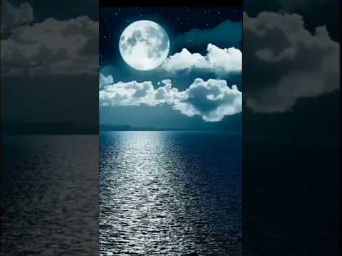 لما بدا في الأفق نور النقشبندي 