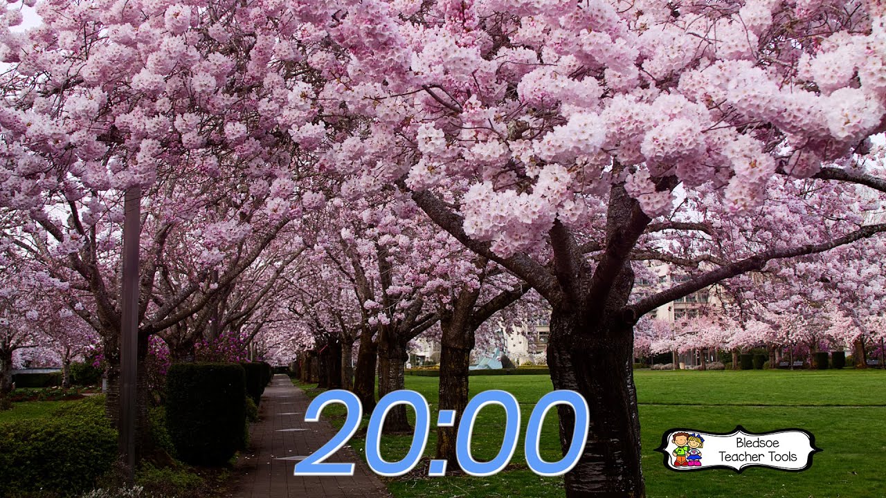 Cherry Blossom Classroom Timer - No Music - 20 Minutes