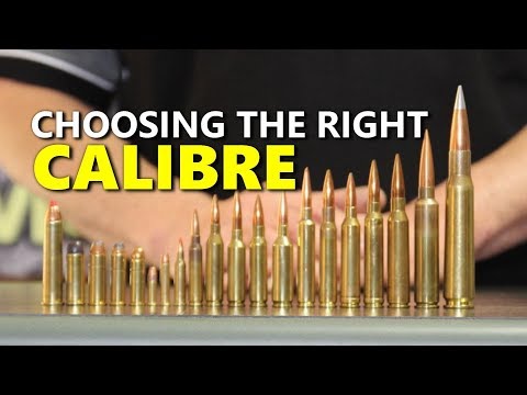 Como escolher um rifle calibre / cartucho