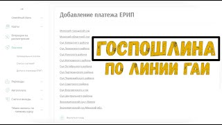 Как не переплатить госпошлину за жалобу в суд по линии ГАИ?