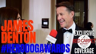 James Denton interviewed at 2018 American Humane Hero Dog Awards Watch on 10/24 #HallmarkChannel