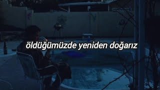 Apollo Sunshine - We Are Born When We Die (Türkçe Çeviri)