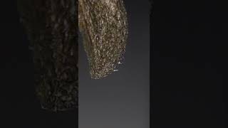 charred Cobra powering back on