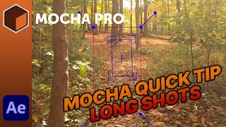 Stop Common Mocha Pro Long Shot Tracking Errors