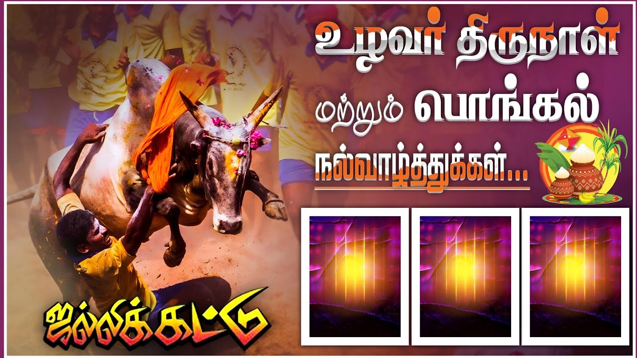 Happy Pongal Wishes Hd Banner Whatsapp Status Background Video Song