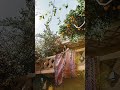 اوليدي باغا تزوج و باغا الزين