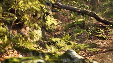 Forest Environment - 3D scans (Unreal Engine 5.4)