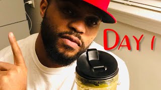 Day 1 recap - 10 Day green smoothie cleanse