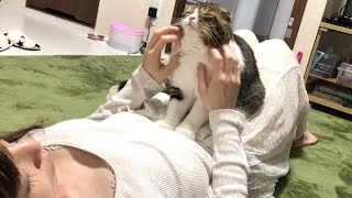 ママに甘えにきたぽこ太郎