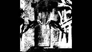 dolphin tears - reflections on waterfront property