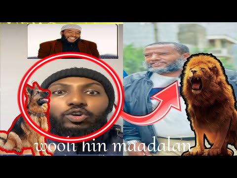 Leenca Fi Saren Wooli Hin Maadalani Baar