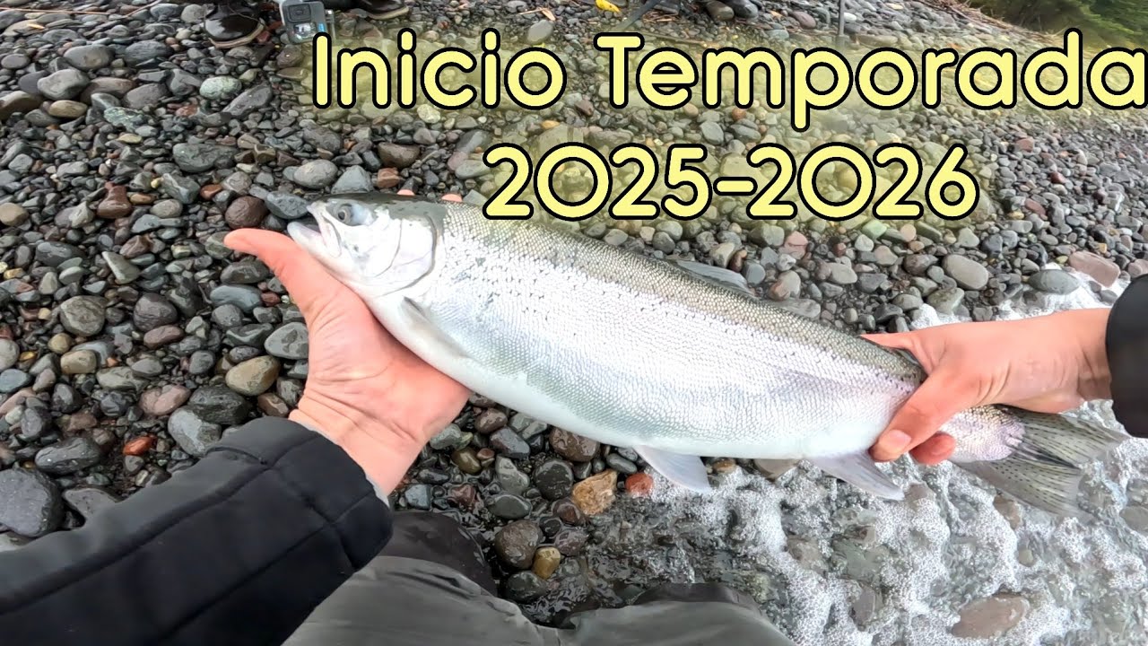 Apertura de temporada 2025-2026/sur de chile/lago llanquihue.
