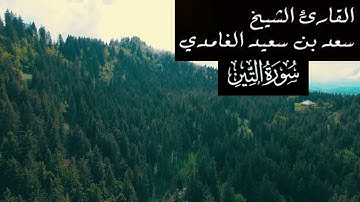 سورة التين بصوت القارئ سعد الغامدي
