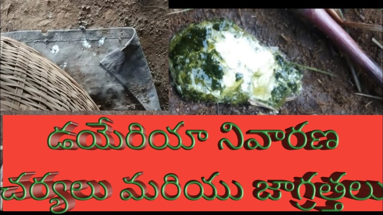 Ayurvedic and English Medicine for Diarrhoea | విరేచనాలకు ఆయుర్వేదిక్ మరియు ఇంగ్లీష్ మెడిసిన్
