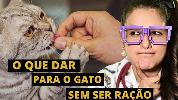 O que dar para os cachorros na falta de ração?
