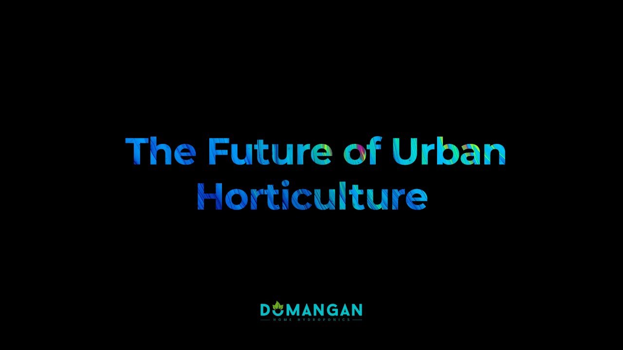 Product Demo of Dumangan Home Hydroponics