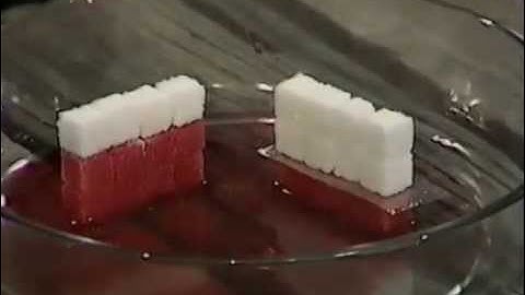 Damp Course - How it works