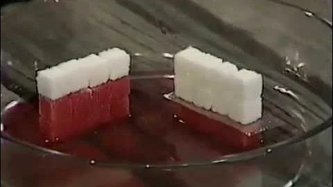 Damp Course - How it works