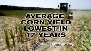 2012 Drought Worse Corn Crop In 20 Years
