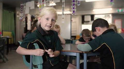 Video 4 - Peer Collaboration