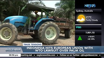Indonesia hits European union with WTO lawsuit over palm oil