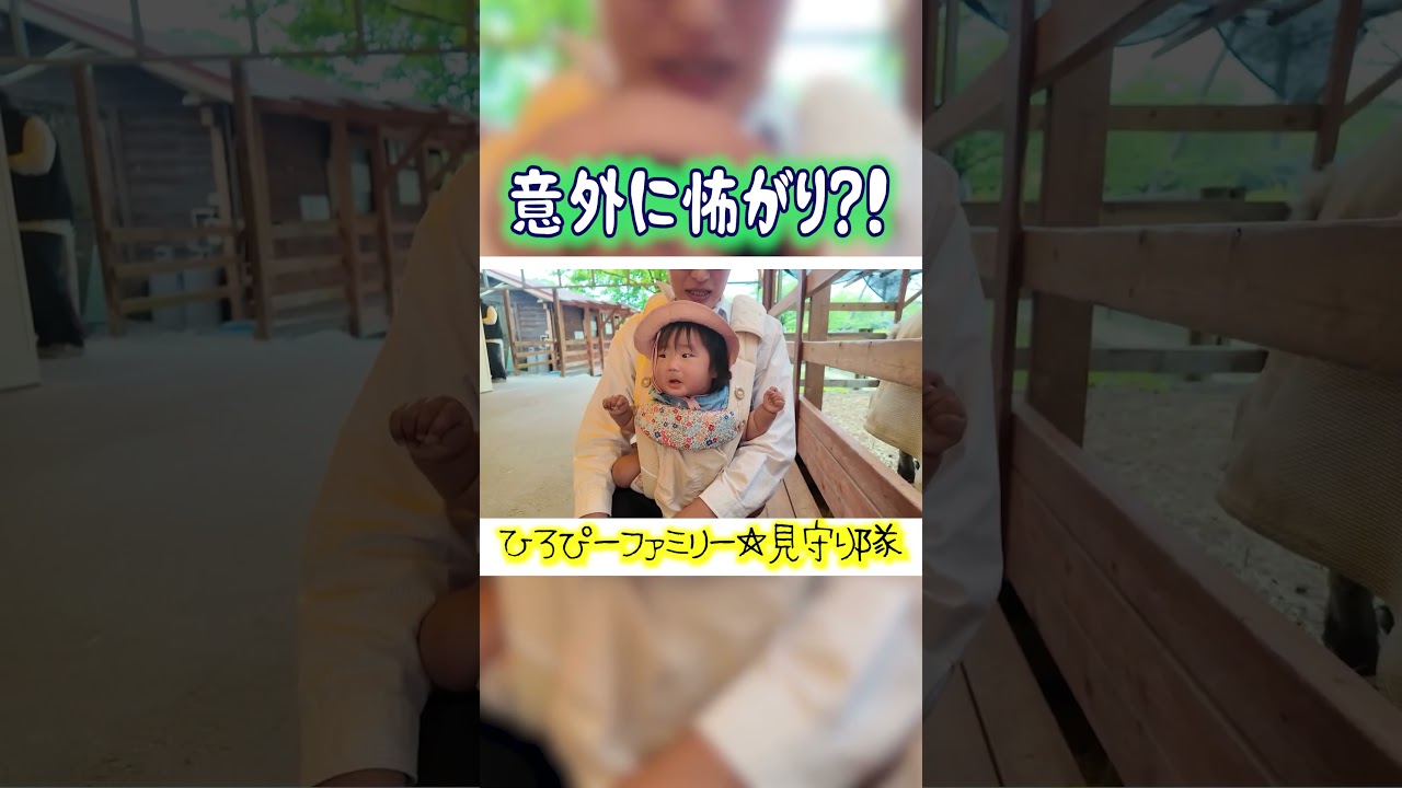 All to myself with Mom and Dad 【Hiropy Family/Highlights