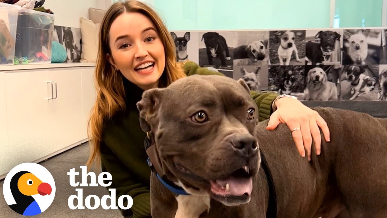 Kaitlyn Dever Goes On A Dodo Dream Date | The Dodo