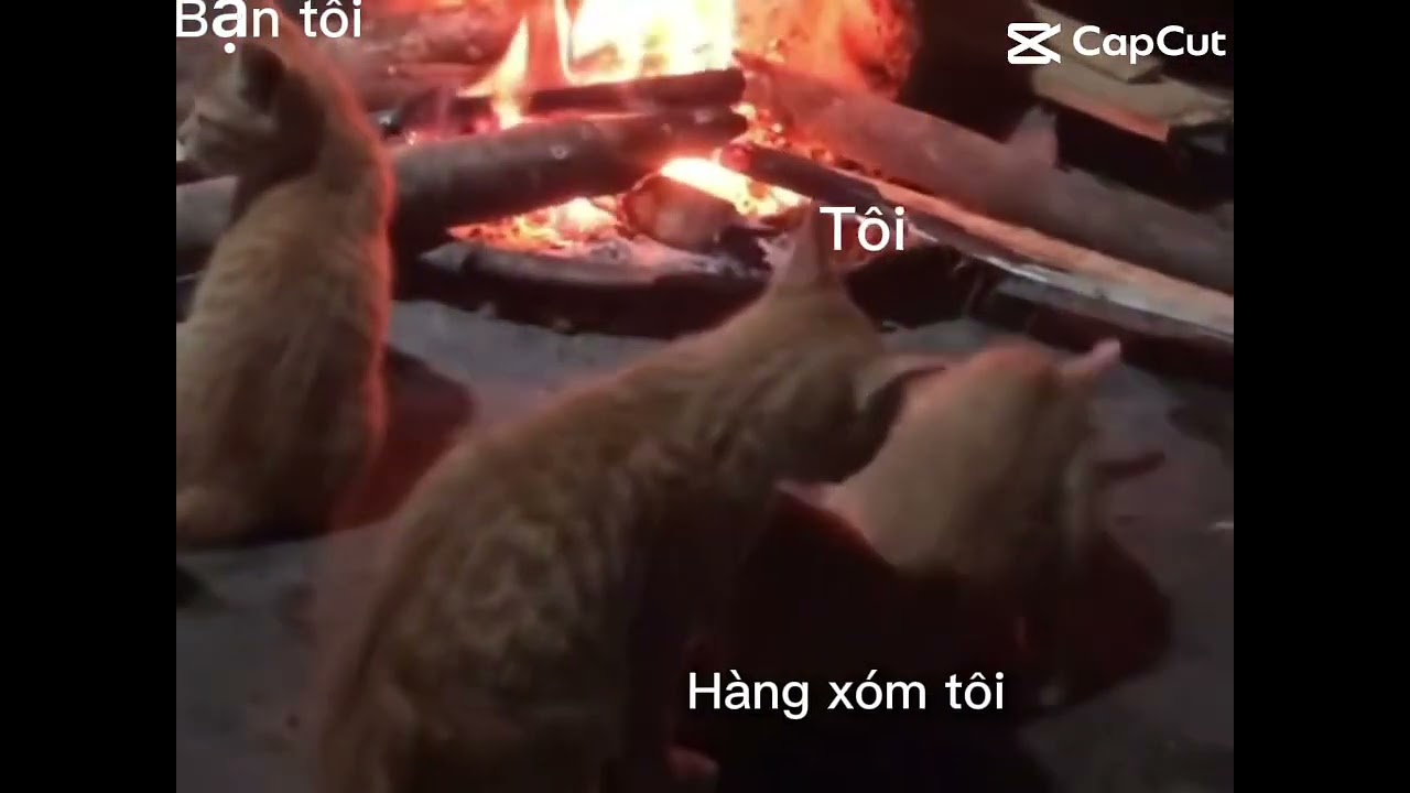 ngày 12 tháng 8, 2025