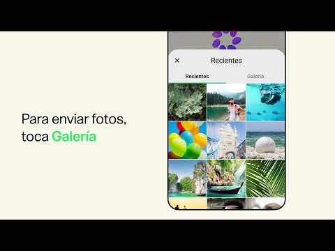 Cómo preguntar a Meta AI con archivos o fotos | WhatsApp