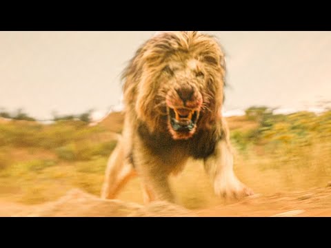 RDR2 Lion compared to BEAST lion. Guess what movie I saw today. - YouTube