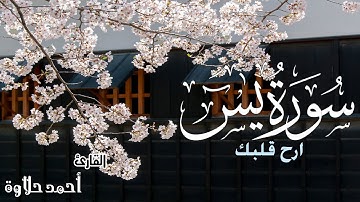 اجمل تلاوة صوت هادئ ❤ كهدوء الليل || سبحان من رزقه هذا الصوت