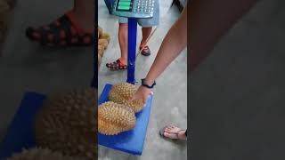 Choosing the perfect Durian