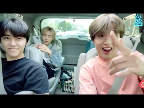 [NCT 런쥔 해찬 재민] 낮술즈가 부르는 으르렁